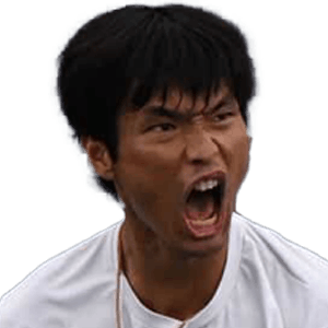 Ray Ho